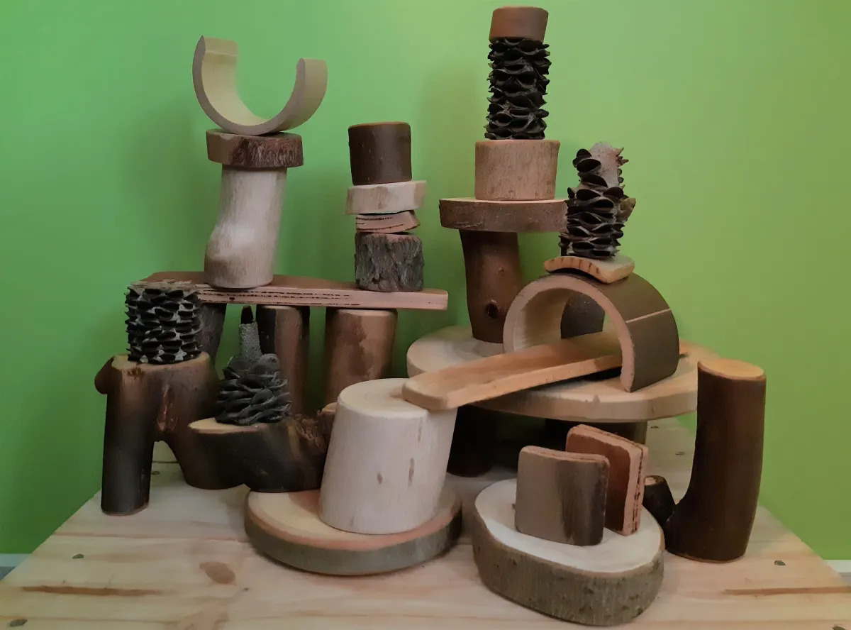 Tree Blocks TTG Early Learning Supplies