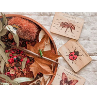 Bug Anatomy Cards - Set of 8