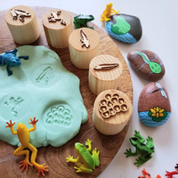 Frog Life Cycle Wooden Stamps