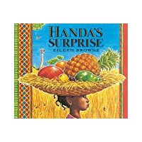 Handa's Surprise Board Book