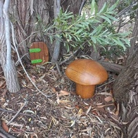 Outdoor Wooden Mushroom
