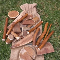 Outdoor Loose Parts Set