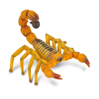 Fat Tailed Scorpion (M) 6.5cm