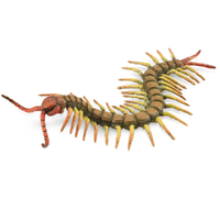 Centipede