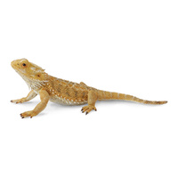 Bearded Dragon Replica