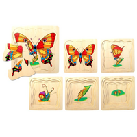 Butterfly Life Cycle Puzzle