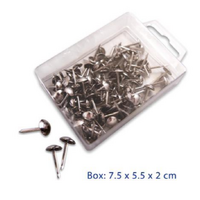 Nails - 100 Pieces