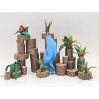 Rockface: Waterfall, 7 Plants, 18 Blocks