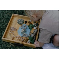 Pond Life Eco Cutter Set