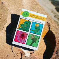 Nature At Play Cards - Foundation Maths