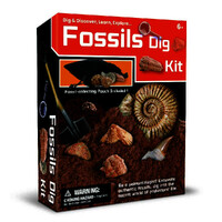 Dig & Discover Fossils Dig Kit