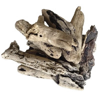 Driftwood - Large Individual