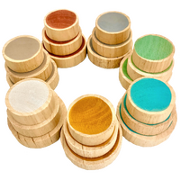 Coloured Wooden Coins - Earth - 21 pieces