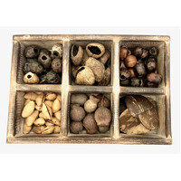 Nut Box - 61 Pieces
