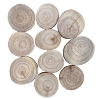 Jempini Wood Slices - Pack of 10