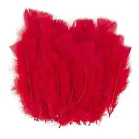 Turkey Feathers - Assorted Colours