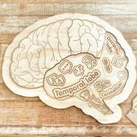 The Brain Wooden Layered Puzzle