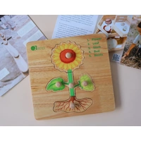 Montessori Parts of a Plant Puzzle