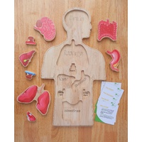 Wooden Human Body Anatomy Puzzle - Coloured