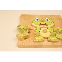 Montessori Amphibian Anatomy Puzzle
