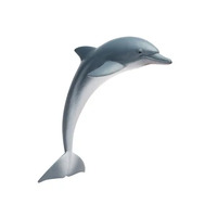 Safari Ltd Sea Life - Dolphin