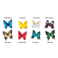 Safari Ltd Butterflies Toob