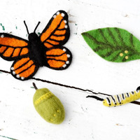 Felt Life Cycle of a Monarch Butterfly