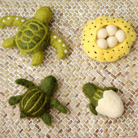 Felt Life Cycle of a Green Sea Turtle