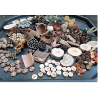 Loose Parts Large Set