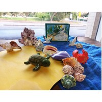 The Smallest Turtle Story Set