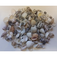 Natural Small Shells Mix 150g